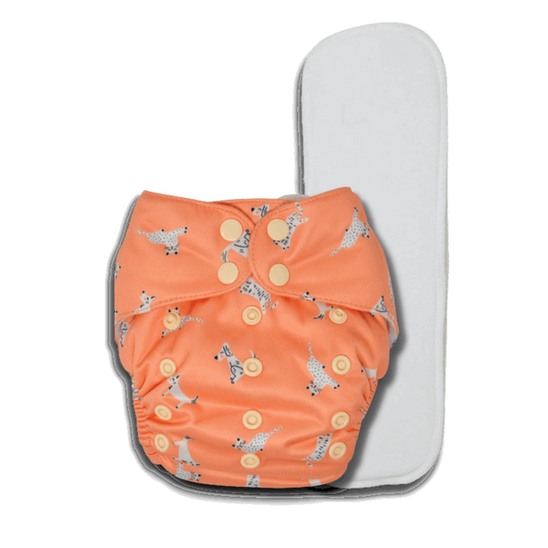 BUM PRINT BABY Freesize Pocket Cloth Diaper | 5 to 17 KG Baby | Contains 1 Waterproof outerÃ‚Â + 1 Bamboo-Cotton Basic Insert | Reusable and Washable, Best for Daytime (Cats n Dogs) The Kids Circle