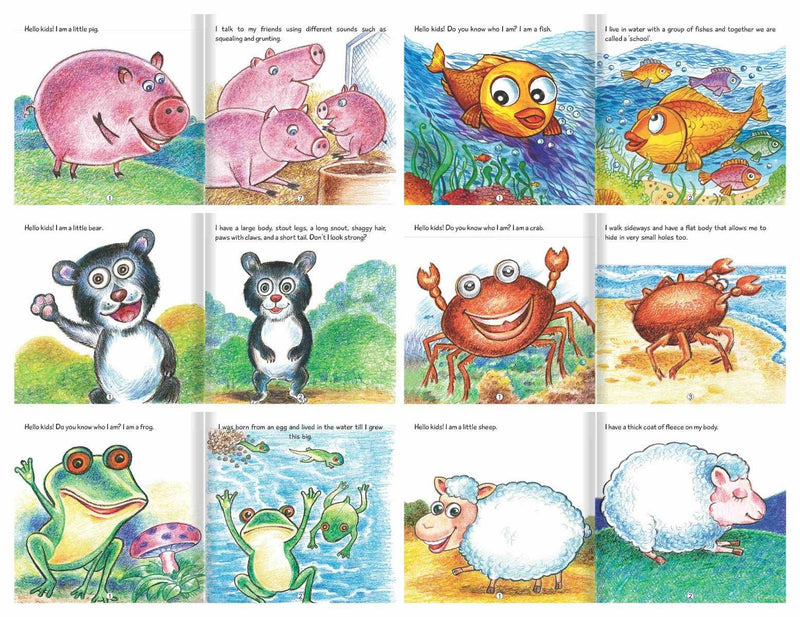 Beautifully Illustarted Novelty Knowledge Books : For Kids : Set of 10 Books : Knowledge, Fun & Interactive : With Activities The Kids Circle