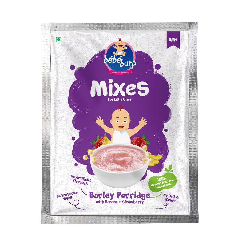 Bebe Burp Organic Baby Food Instant Mix Porridge Sample Pack  Pack Of 5 - 30 Gm Each The Kids Circle