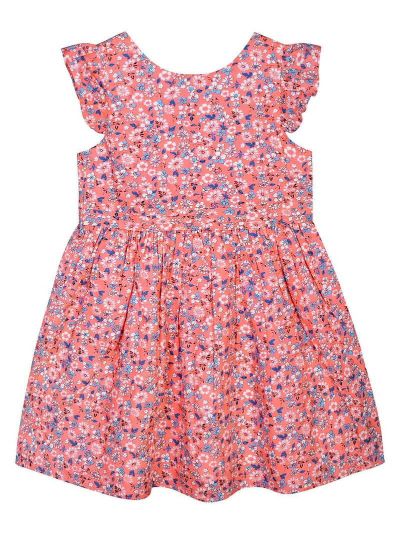 Budding Bees Girls  Fit & Flare Dress The Kids Circle