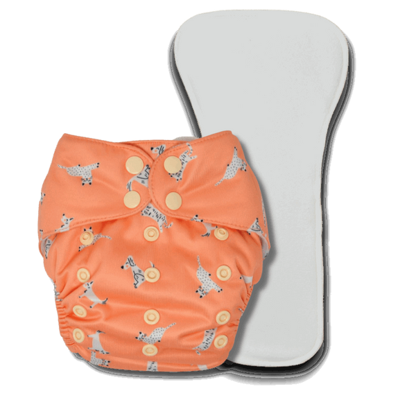 BUM PRINT BABY Freesize Pocket Cloth Diaper | 5 to 17 KG Baby | Contains 1 Waterproof OuterÃ‚Â + 1 Bamboo-Cotton Trunk Insert | Reusable and Washable, Best for Nighttime (Cats n Dogs)