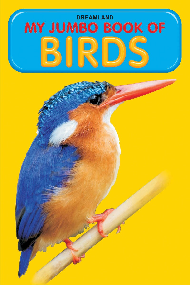 Dreamland My Jumbo Book - BIRDS - The Kids Circle