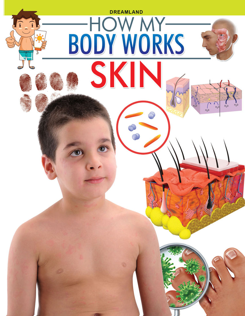 Dreamland Skin (How My Body Works) - The Kids Circle