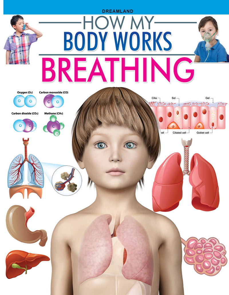 Dreamland Breathing (How My Body Works) - The Kids Circle