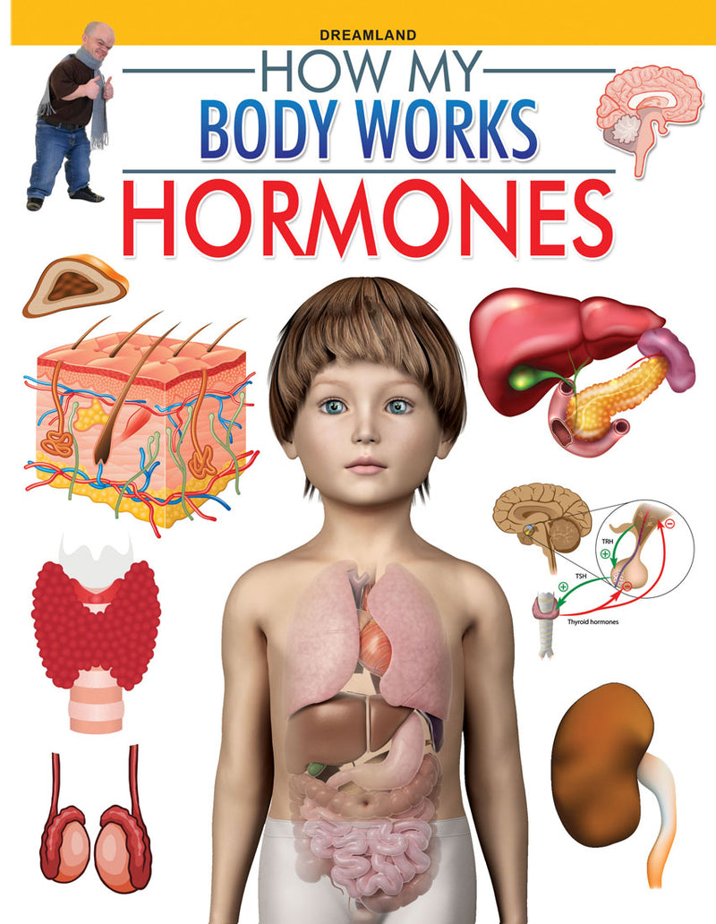 Dreamland Hormones (How My Body Works) - The Kids Circle