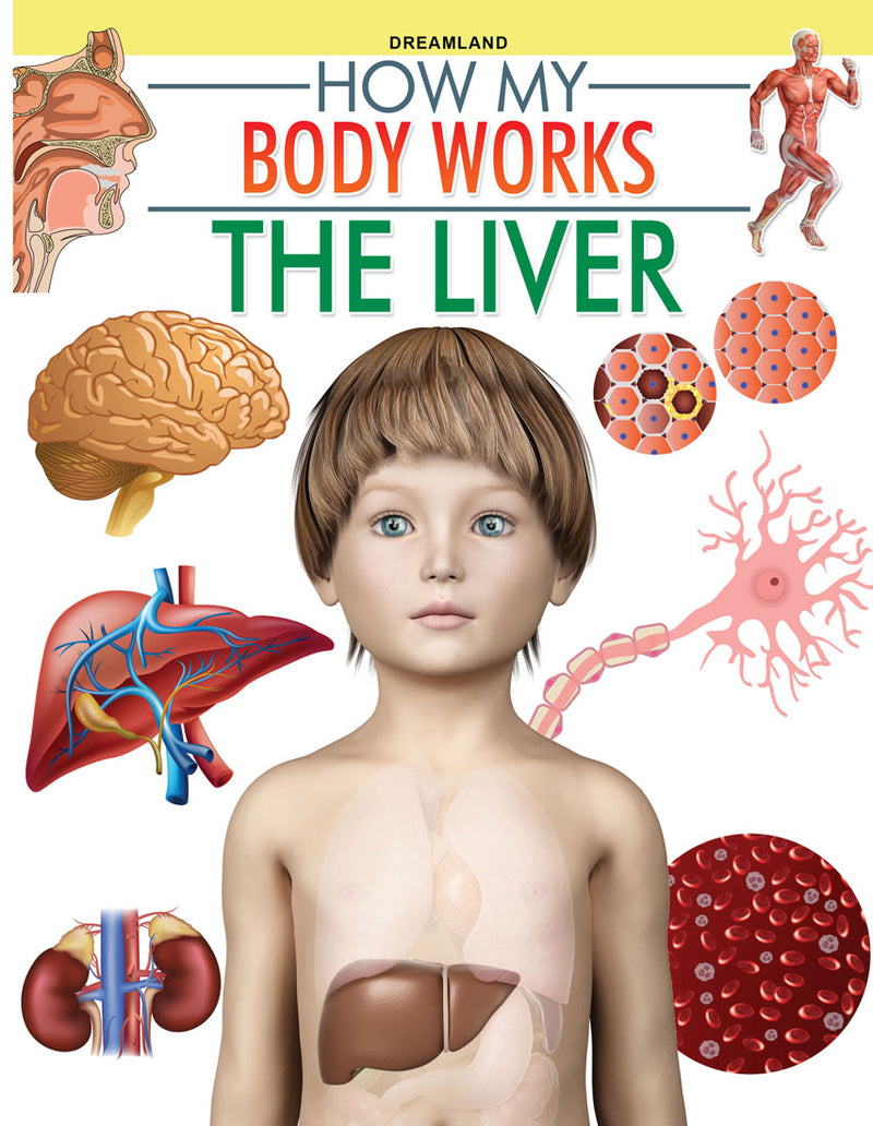 Dreamland The Liver (How My Body Works) - The Kids Circle