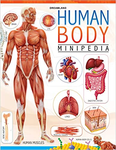 Dreamland Human Body Minipedia - The Kids Circle