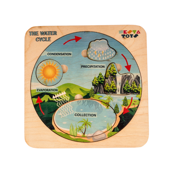 Nesta Toys Montessori Wooden Water Cycle Puzzle | Educational STEM Learning Toy