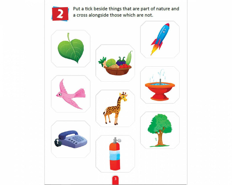 Nature Activity Book Paperback - The Kids Circle