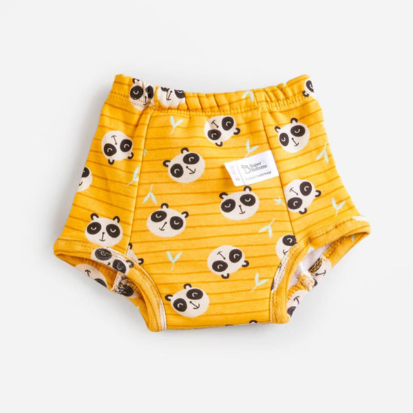 SuperBottoms Choose size for Pack of 1 Padded Underwear (Potty Training Pants) - NO Print Choice