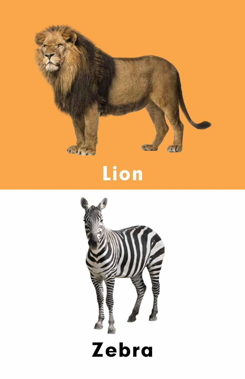 Pegasus A To Z Learning - Wild Animals - The Kids Circle